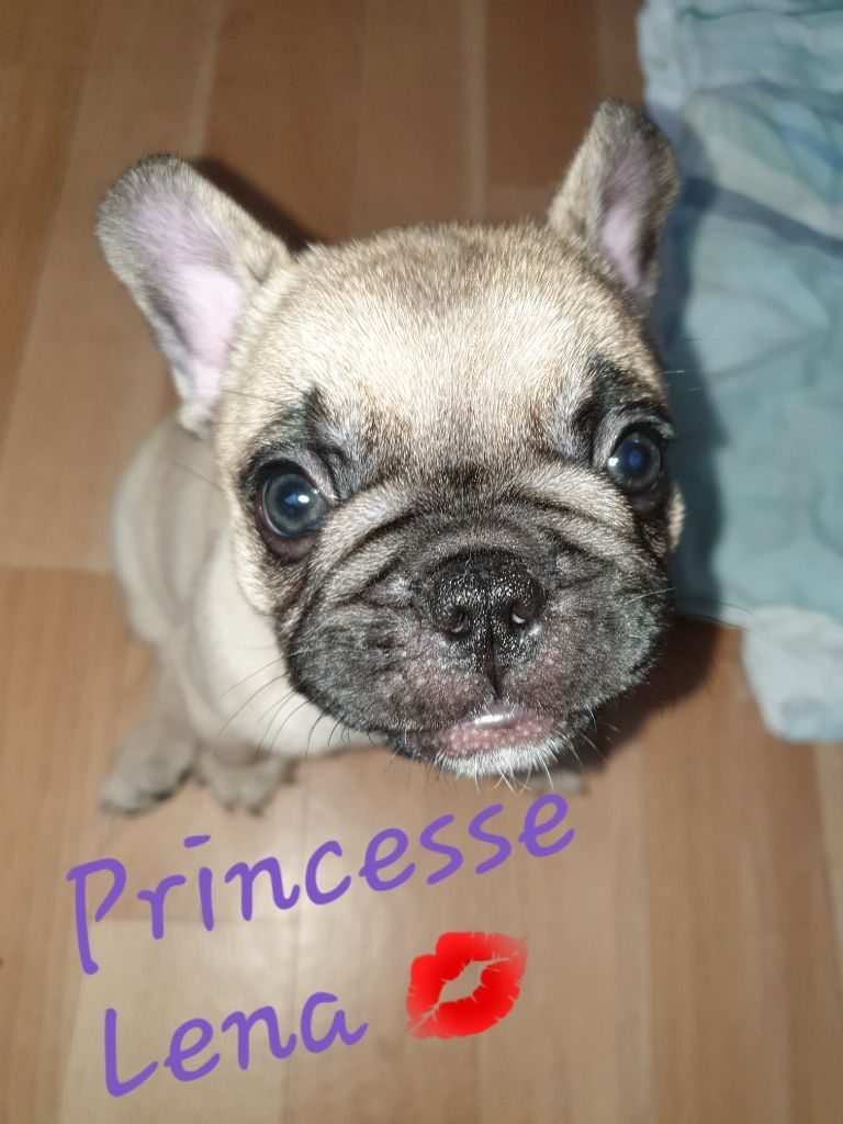 des Merveilles de Maurienne Poppy née princesse léna